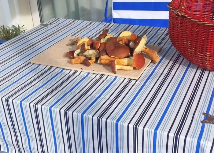 Blu Mare Pogorzelica (Gmina Rewal)